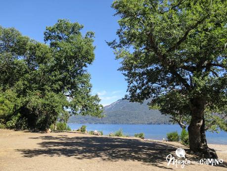 Excursión a la playa de Quila Quina Excursión a la playa de Quila Quina