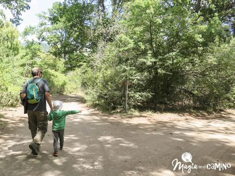 Excursión a la playa de Quila Quina Excursión a la playa de Quila Quina