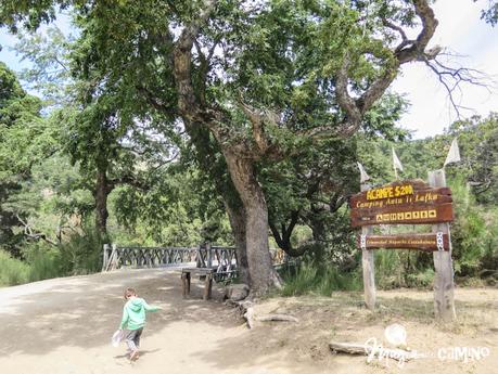 Excursión a la playa de Quila Quina Excursión a la playa de Quila Quina