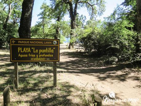 Excursión a la playa de Quila Quina Excursión a la playa de Quila Quina