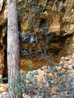 La minería del hierro en la Sierra de Orihuela.  Minería metálica en Alicante.