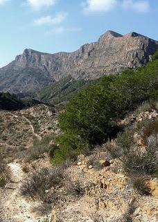La minería del hierro en la Sierra de Orihuela.  Minería metálica en Alicante.