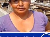 Quilmaná gana concurso procompite regional 2017…