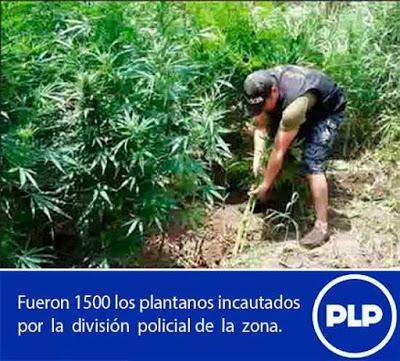 LIMA PROVINCIAS LA NUEVA RUTA DE LA DROGA…?