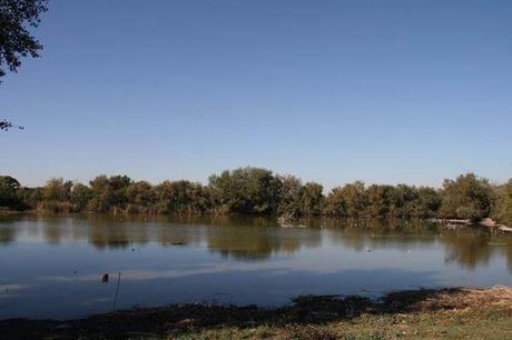 Convivencia de los Centros de Participación Activa de Mayores de Montequinto y Fuente del Rey