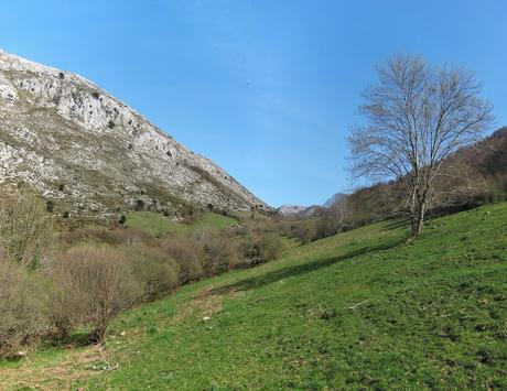 Gamonal, Sestón y base del Tiolda desde Suarias