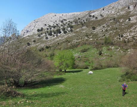 Gamonal, Sestón y base del Tiolda desde Suarias