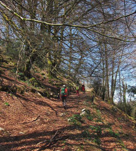 Gamonal, Sestón y base del Tiolda desde Suarias