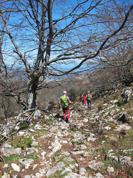 Gamonal, Sestón y base del Tiolda desde Suarias