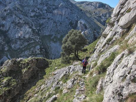 Gamonal, Sestón y base del Tiolda desde Suarias