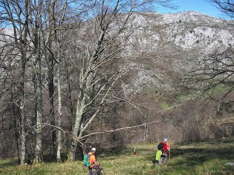 Gamonal, Sestón y base del Tiolda desde Suarias