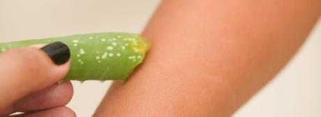 ¿Debo usar gel de aloe vera en una costra ?