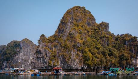 Ha Long Bay: Nuestra Experiencia y Recomendaciones