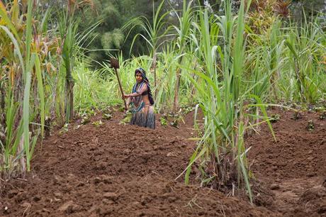 reporte de noticias: semana del 16/04 reporte de noticias: semana del 16/04