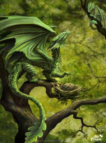 Galería de Dragones (ilustraciones) parte I