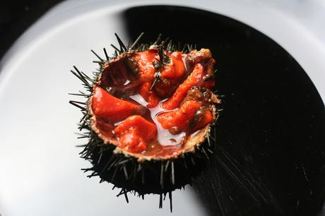 Pasta con Erizos de Mar (Pasta con i ricci) Pasta con Erizos de Mar (Pasta con i ricci)