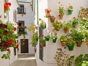 Priego Córdoba: visita llena flores