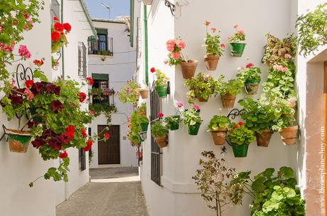 Visitar Priego de Córdoba pueblo flores encanto