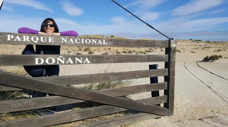 Pinos, dunas y cámaras en Doñana