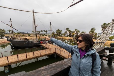 Pinos, dunas y cámaras en Doñana