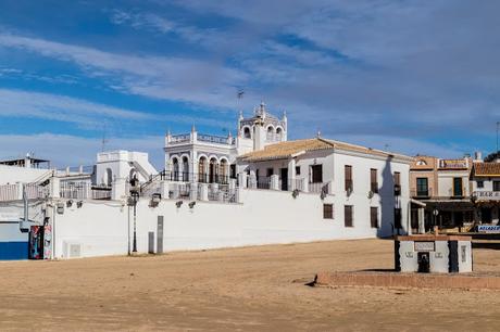 Pinos, dunas y cámaras en Doñana