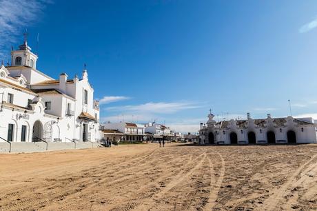 Pinos, dunas y cámaras en Doñana