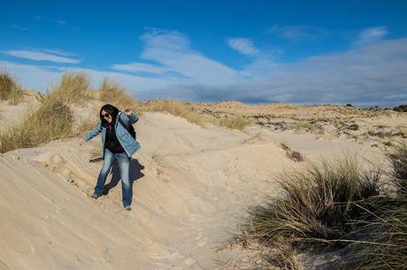 Pinos, dunas y cámaras en Doñana