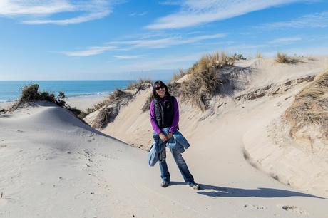 Pinos, dunas y cámaras en Doñana