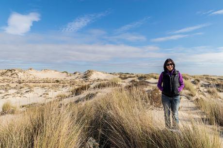 Pinos, dunas y cámaras en Doñana