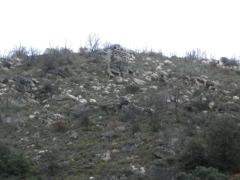 Una tarde de primavera en la Sierra Norte de Guadalajara