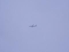 Una tarde de primavera en la Sierra Norte de Guadalajara