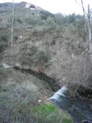Una tarde de primavera en la Sierra Norte de Guadalajara