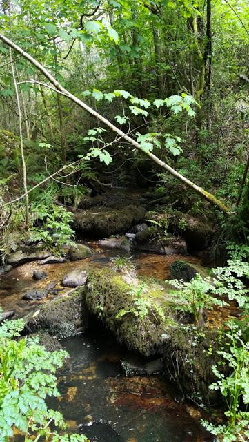 Abierta la Ruta de Carlos V, Tazones a Villaviciosa, Asturias.