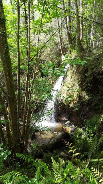 Abierta la Ruta de Carlos V, Tazones a Villaviciosa, Asturias.