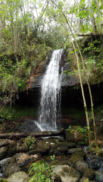 Abierta la Ruta de Carlos V, Tazones a Villaviciosa, Asturias.