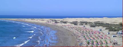 Las Islas Canarias un sitio donde hacer tu mudanza Las Islas Canarias un sitio donde hacer tu mudanza