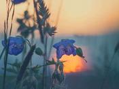 Cuando verdad… bonito poema atribuido Charles Chaplin