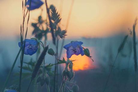 Cuando me amé de verdad… Un bonito poema atribuido a Charles Chaplin Cuando me amé de verdad… Un bonito poema atribuido a Charles Chaplin