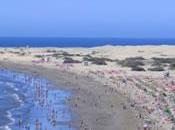 Islas Canarias mejor sitio