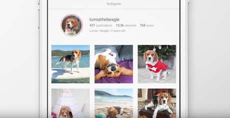 Pedigree hackea las cuentas de Instagram de los perros más famosos para concienciar sobre la adopción