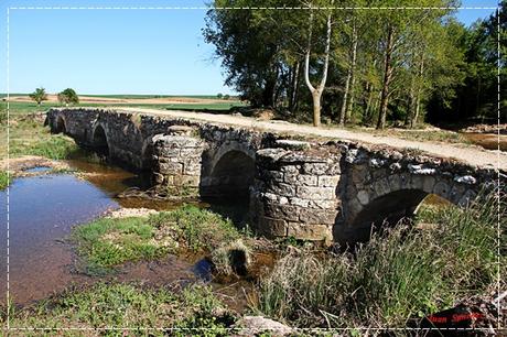 Puente de Sandoval de la Reina