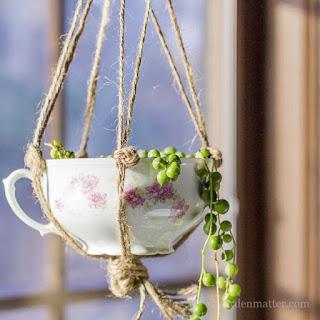 17 Hermosas ideas para hacer terrarios en tazas de té