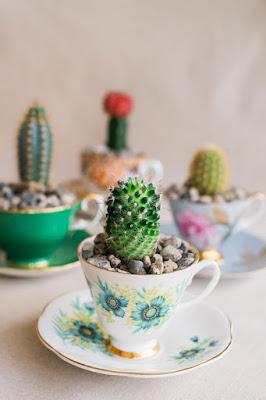 17 Hermosas ideas para hacer terrarios en tazas de té