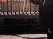 Alfredo Valdés Pionero