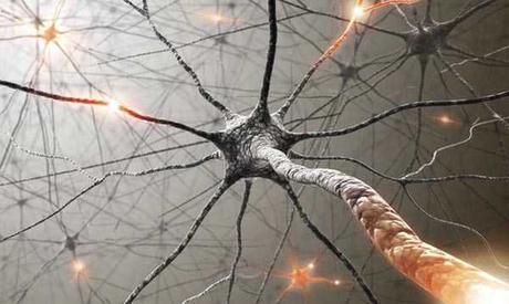 Misterios de la conciencia