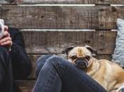 Amor amistad psicoanálisis