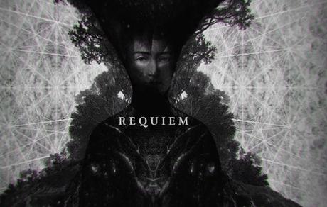 Buscando Respuestas de su Pasado