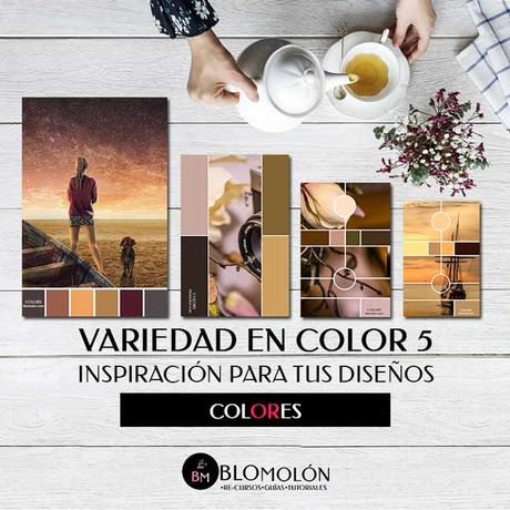 variedad_en_color_5_inspiracion