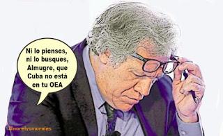 OEA al desnudo ante la continuidad en Cuba