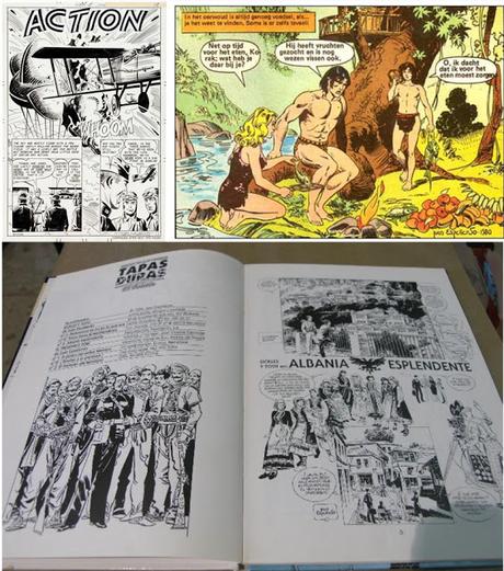 Dibujando entre Palmeras. Elche.